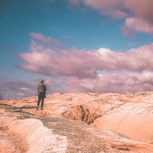 新有菜电影免费观看完整版
