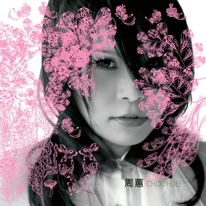 新有菜电影免费观看完整版
