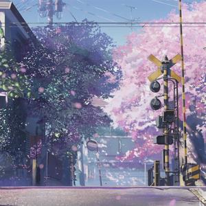 新有菜电影免费观看完整版
